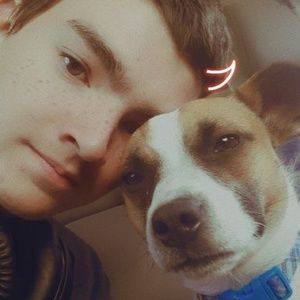 Meet your Posher, Hunter